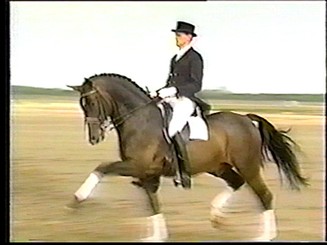 corianderex (20K)