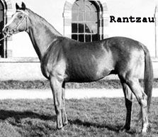 rantzaumed (13K)